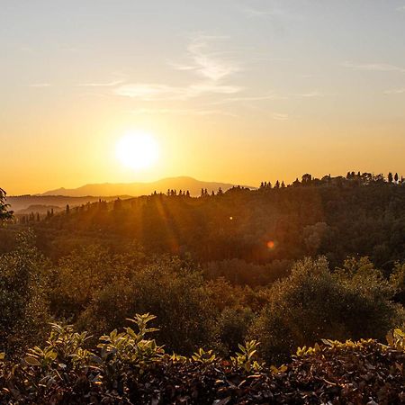 Collebrunacchi B&B San Miniato Bagian luar foto