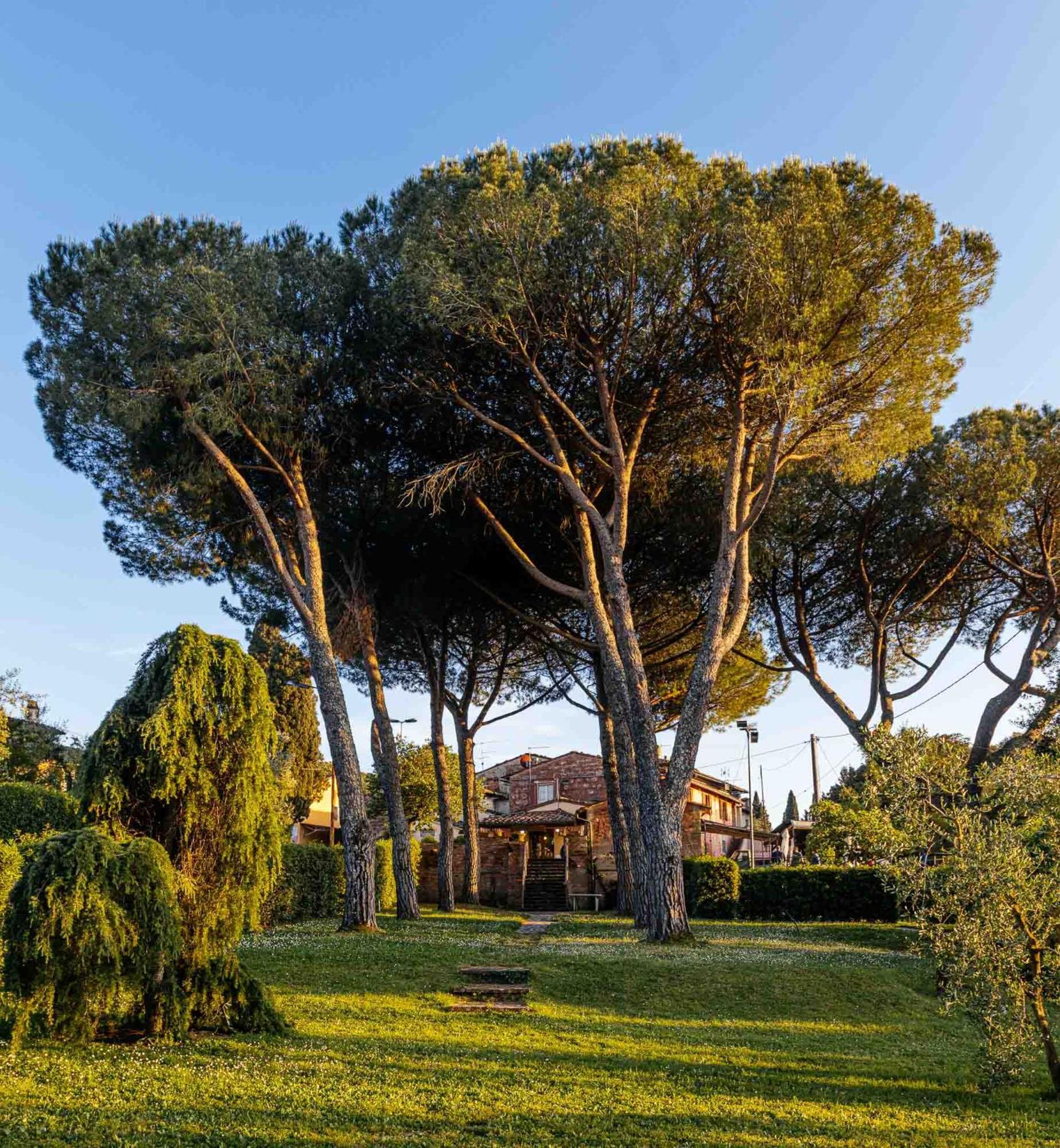 Collebrunacchi B&B San Miniato Bagian luar foto